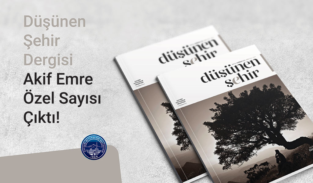 Düşünen Şehir 6. Sayı