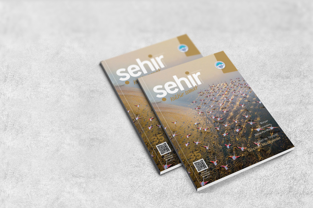 ŞEHİR KÜLTÜR SANAT DERGİSİ 35. SAYISI