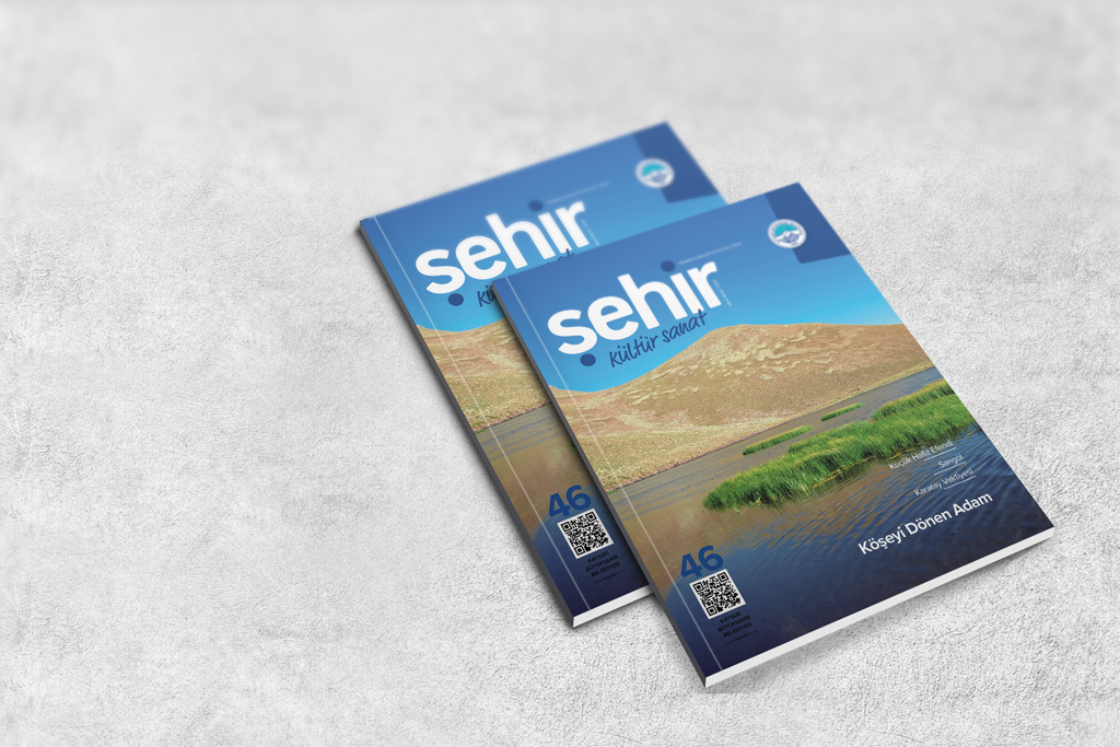 ŞEHİR KÜLTÜR SANAT DERGİSİ 46. SAYI