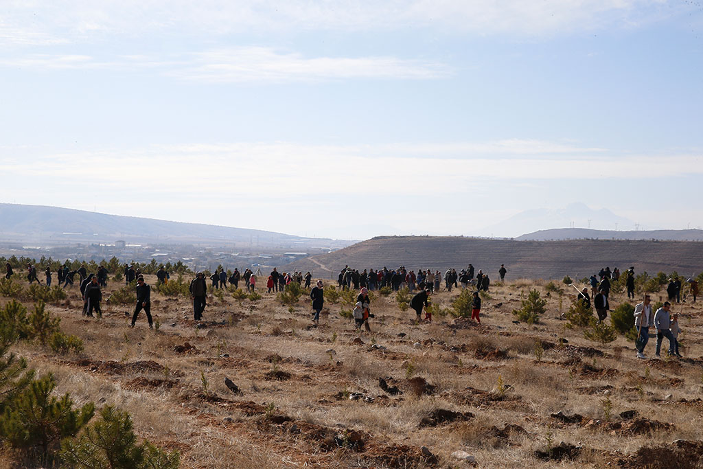 Ulaşım A.Ş.'den 500 Fidan Daha
