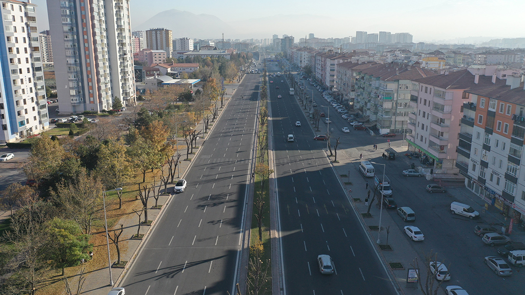 Büyükşehir'den Ağaçlara 'Kış' Bakımı