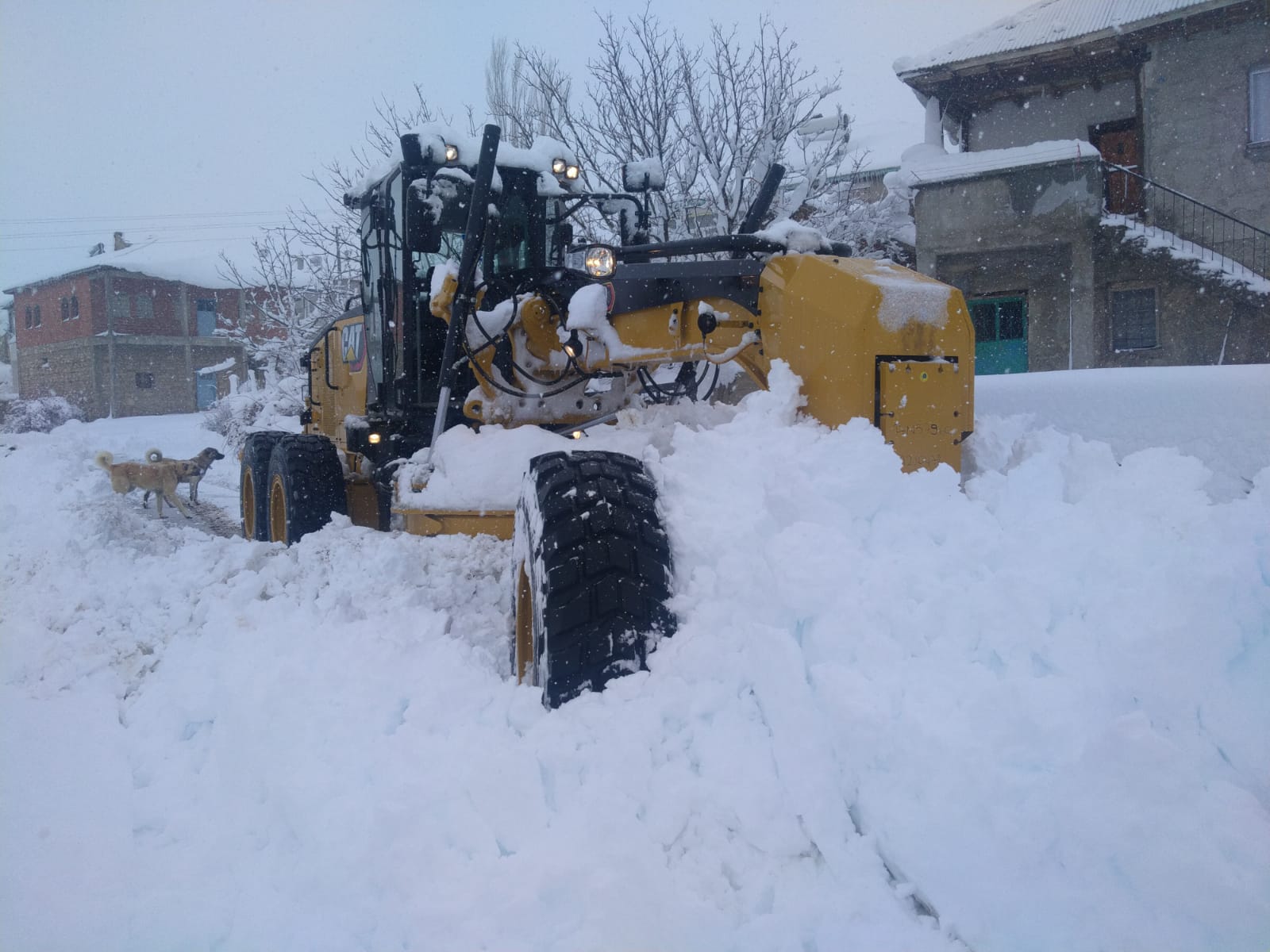 Büyükşehir, Kapalı Mahalle Yolu Bırakmadı