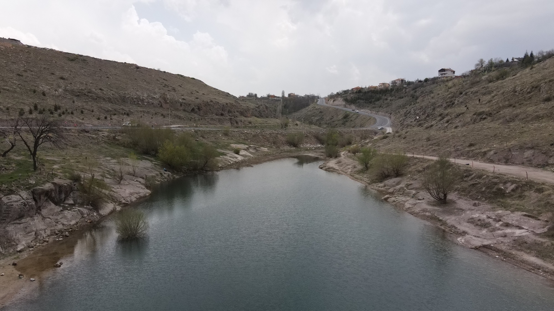 Büyükşehir’den Gesi Vadisi’ne On Bin Sarıçam Fidanı