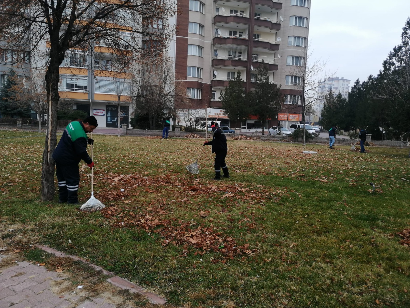 Büyükşehir, Topladığı Gazelleri Gübreye Dönüştürüyor