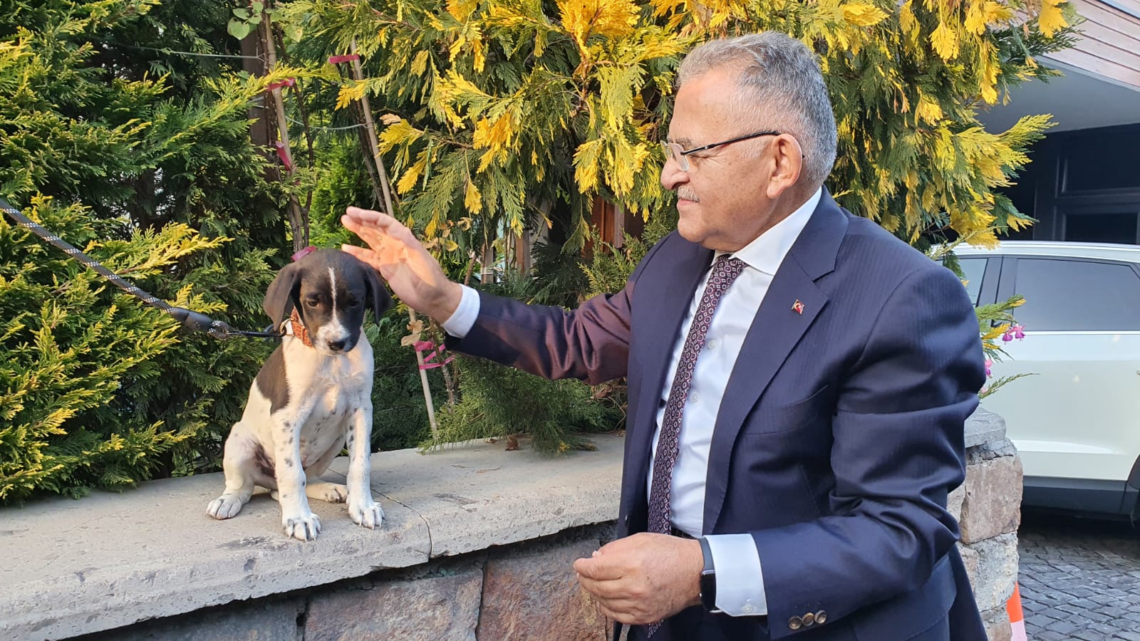 Başkan Büyükkılıç: “Sokak Hayvanlarımız İçin Yeni ve Modern Barınak Yapacağız”