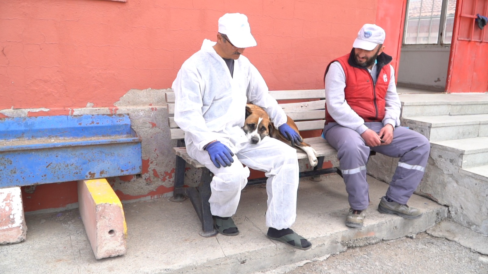 Büyükşehir Geçici Köpek Bakım Evi, Depremzede Hayvanlara Ev Sahipliği Yapıyor