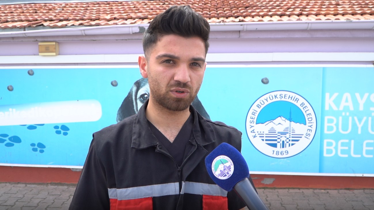 Büyükşehir’den Yeni ve Modern Kedi Köpek Evi