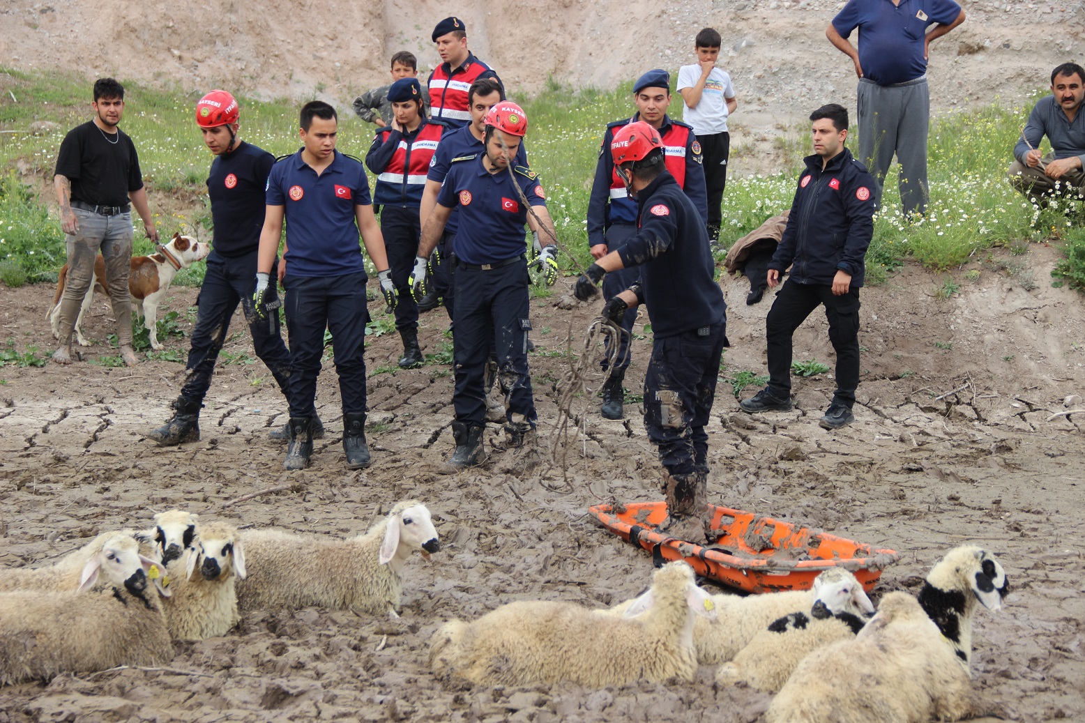 Büyükşehir İtfaiyesi’nden Bataklıkta 2 Saatlik Koyun Kurtarma Operasyonu