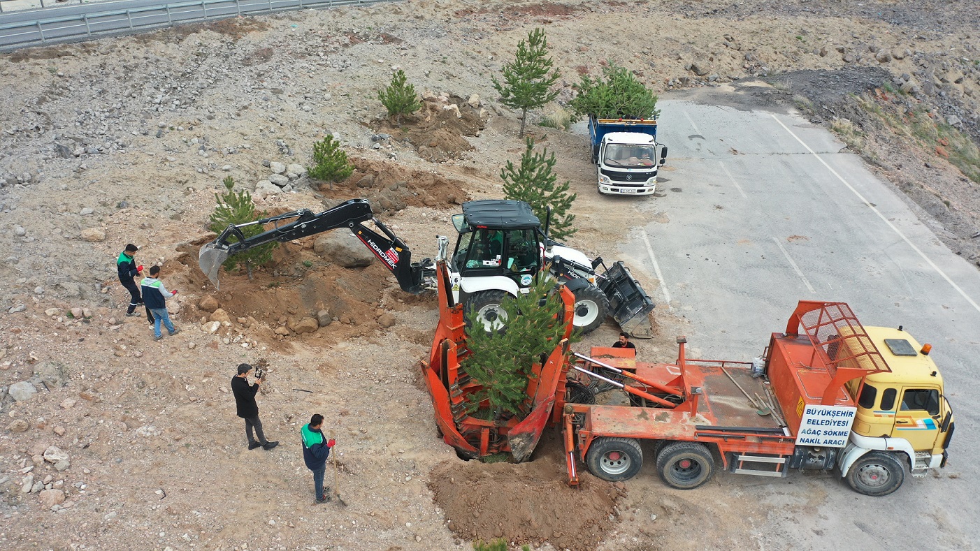 Büyükşehir, Mimarsinan Osb Kavşağı ile Refüjleri Ağaç Taşıma Yöntemi ile Ağaçlandırıyor