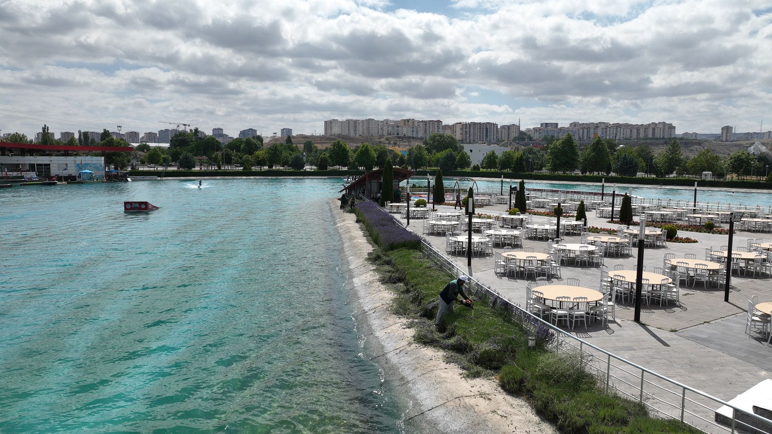 Büyükşehir, 160 Bin Lavantanın Hasadına Başladı