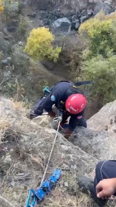 Büyükşehir İtfaiyesi Uçurumda Mahsur Kalan Keçiyi Kurtardı