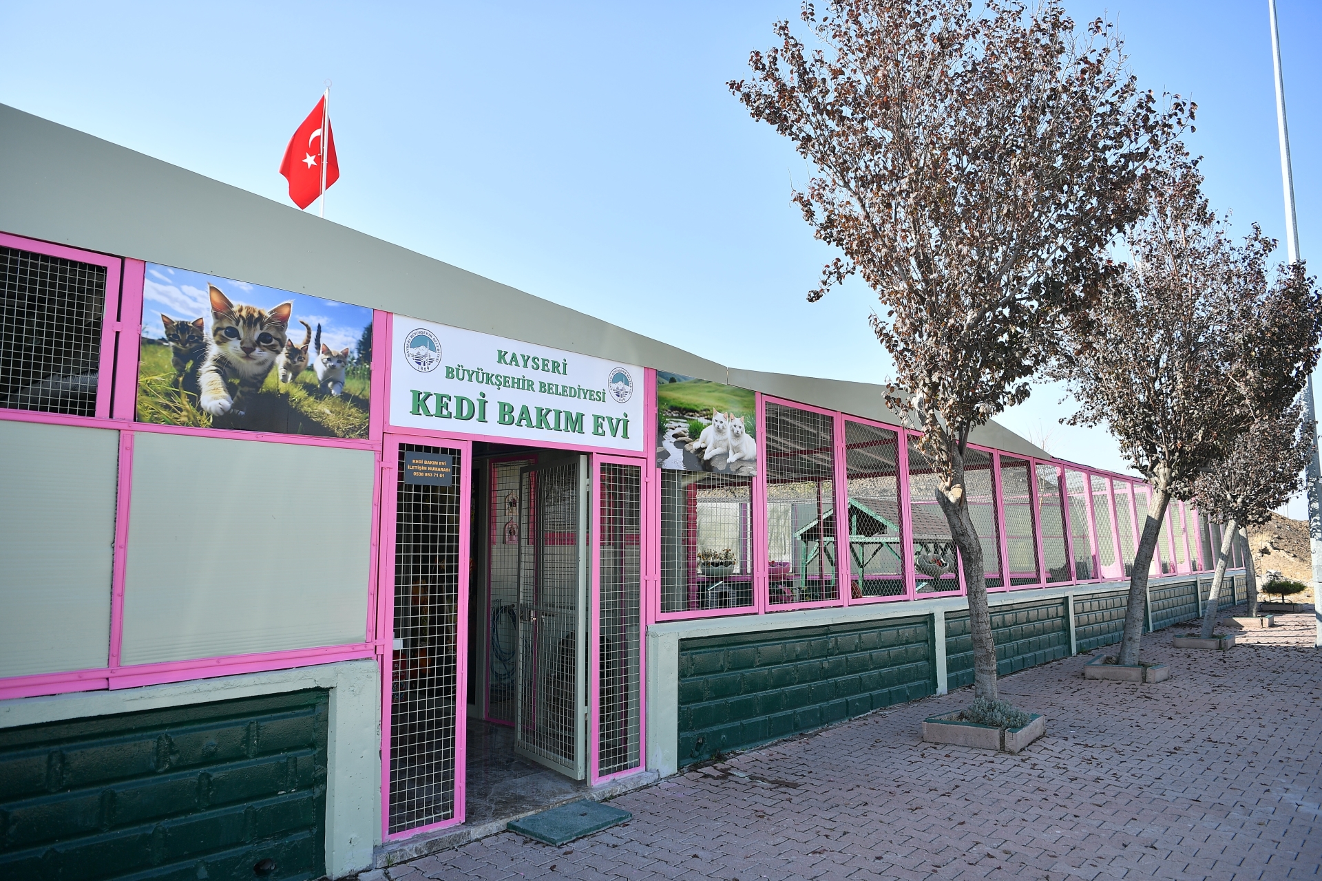 Büyükşehir’den Patili Dostlara Yaşam Desteği: Kedi Bakım Evi Örnek Hizmet Sunuyor