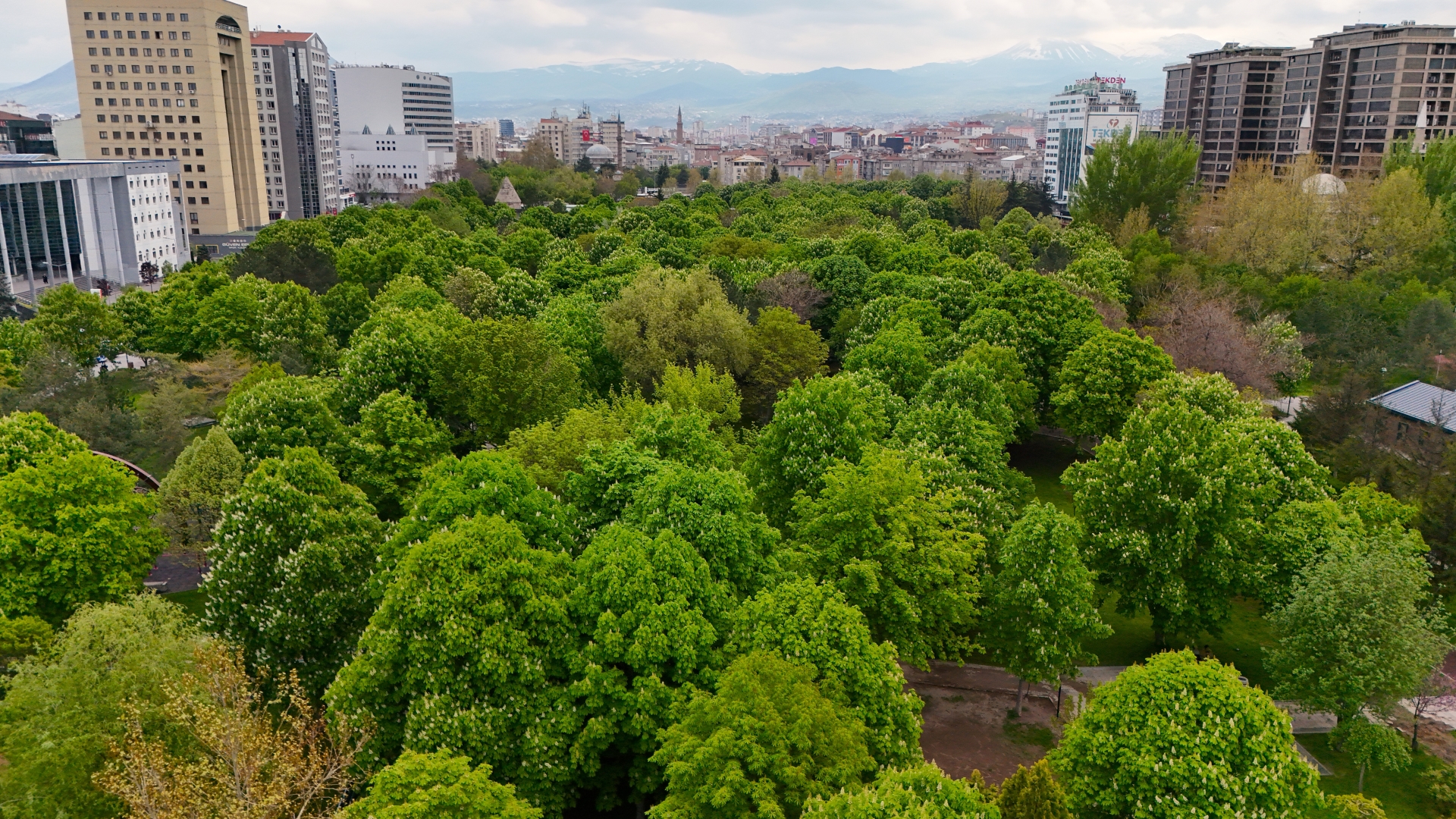 Büyükşehir’den Mimarsinan Parkı’na Modern Aydınlatma Hamlesi