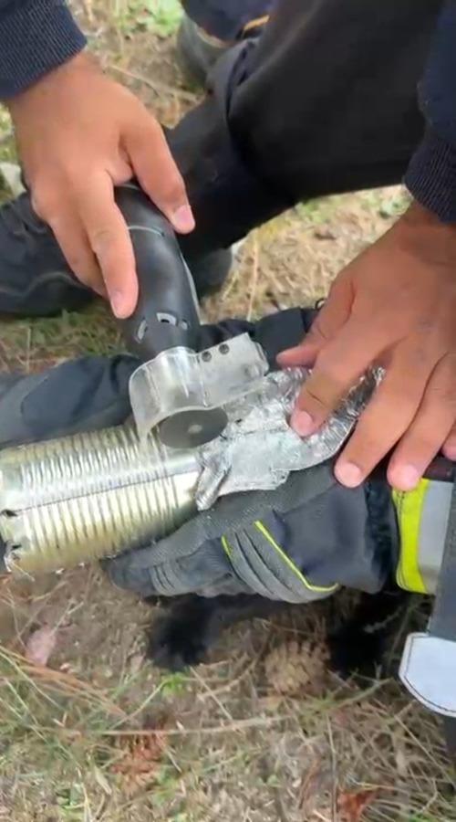 Büyükşehir İtfaiyesi, Hacılar’da Kafası Konserve Kutusuna Sıkışan Kediyi Kurtardı