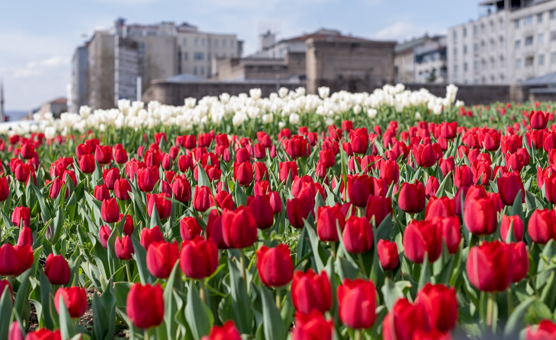 Kayseri Belediyesi