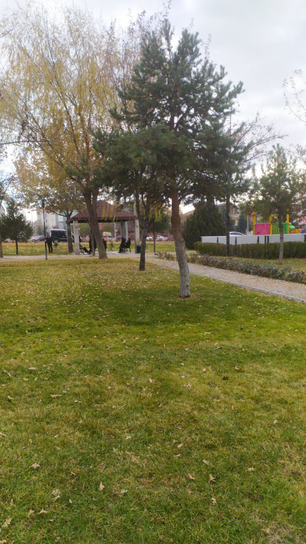 Kayseri Belediyesi
