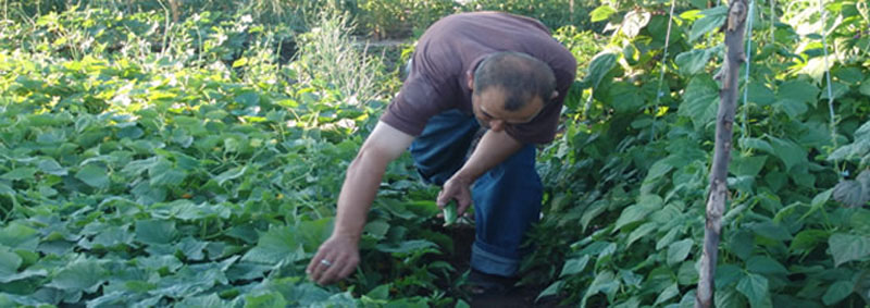 Kayseri Belediyesi