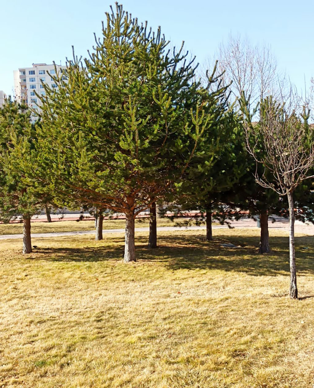 Kayseri Belediyesi