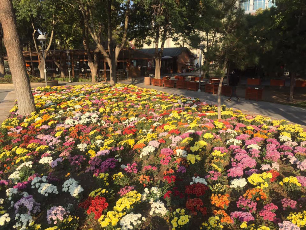 Kayseri Belediyesi