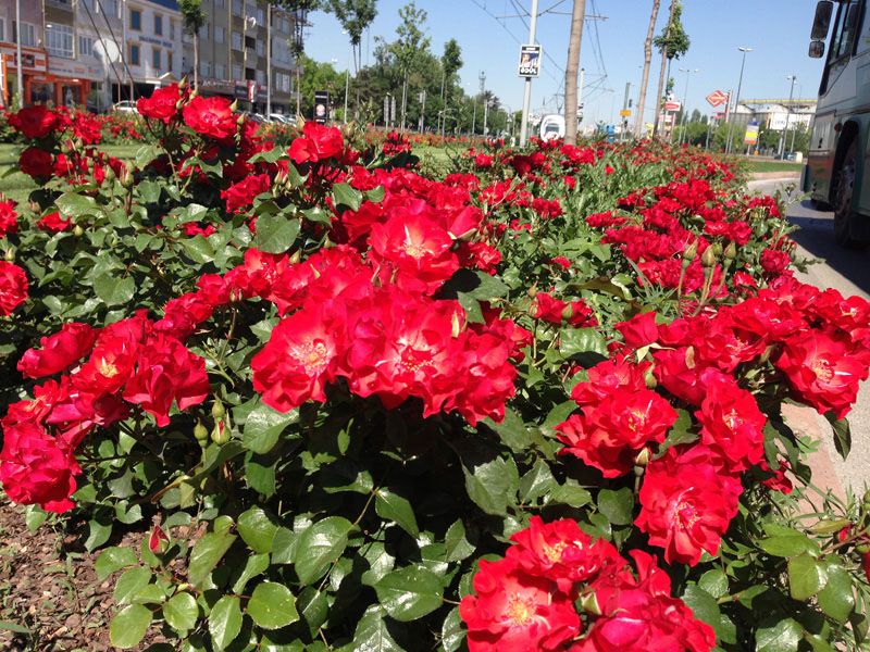 Kayseri Belediyesi