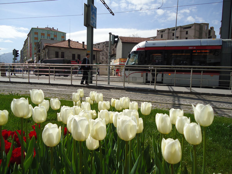 Kayseri Belediyesi