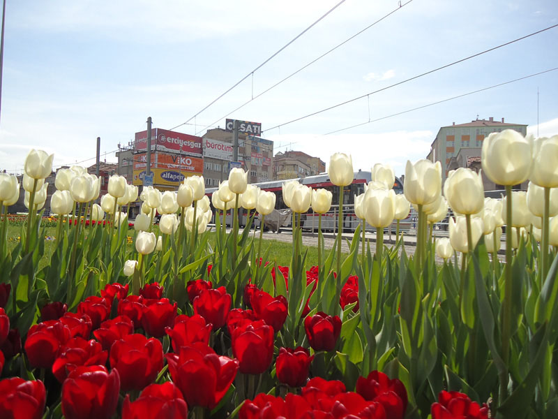 Kayseri Belediyesi