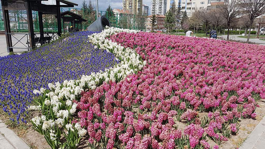 Kayseri Belediyesi