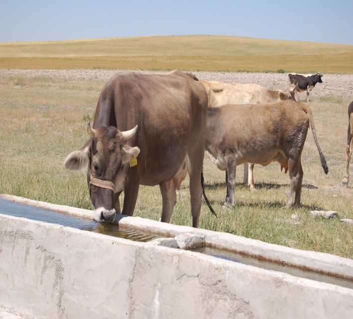 Kayseri Belediyesi