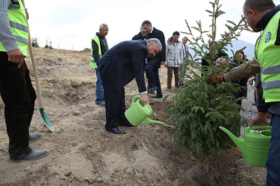 Yeni Yaşam Alanı İçin Ağaçlandırma Başladı